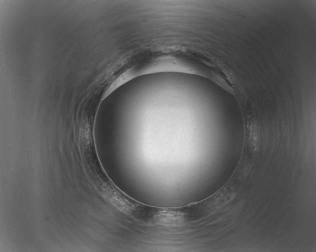 X0000078010617200611031432