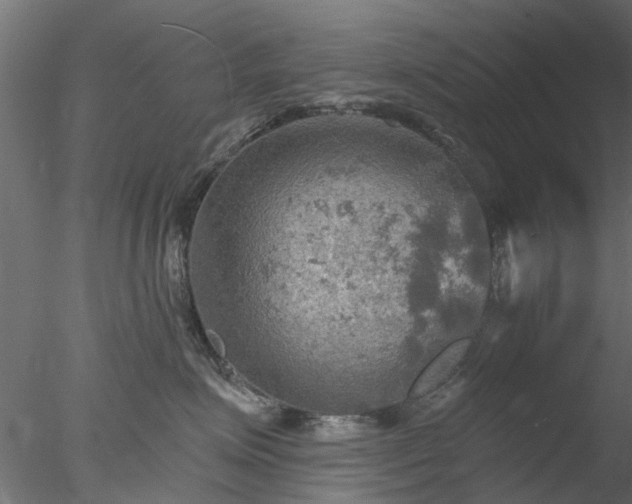 X0000078010623200611031432