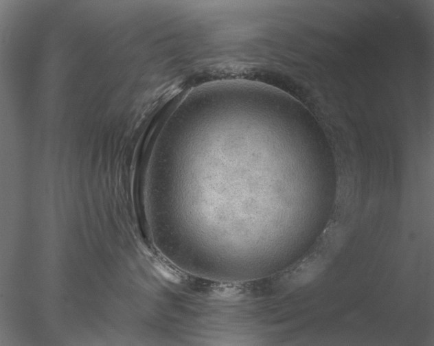 X0000078010624200611031432