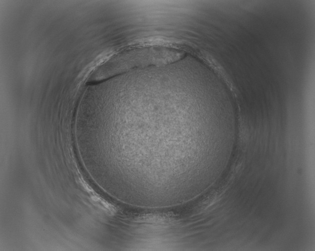 X0000078010625200611031431