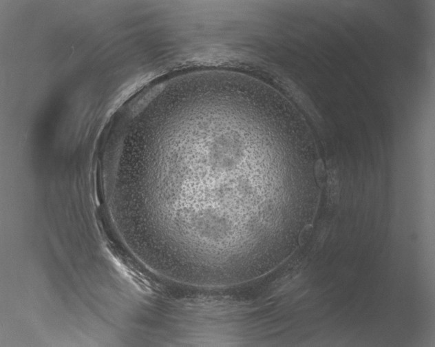 X0000078010626200611031431