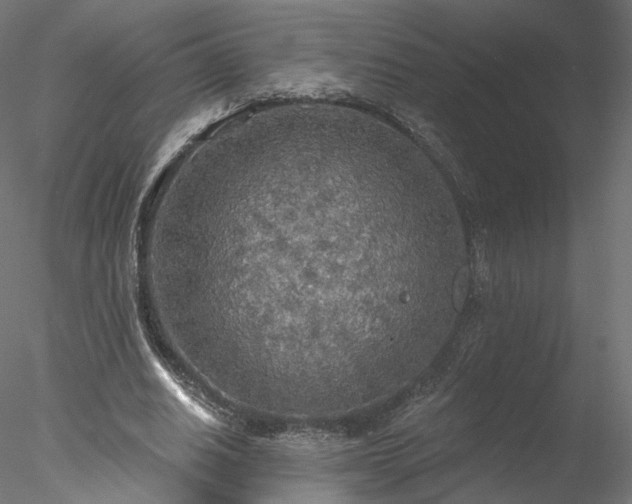 X0000078010630200611031431