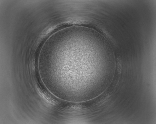 X0000078010631200611031431