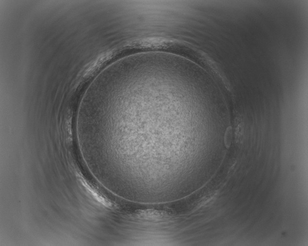 X0000078010633200611031431