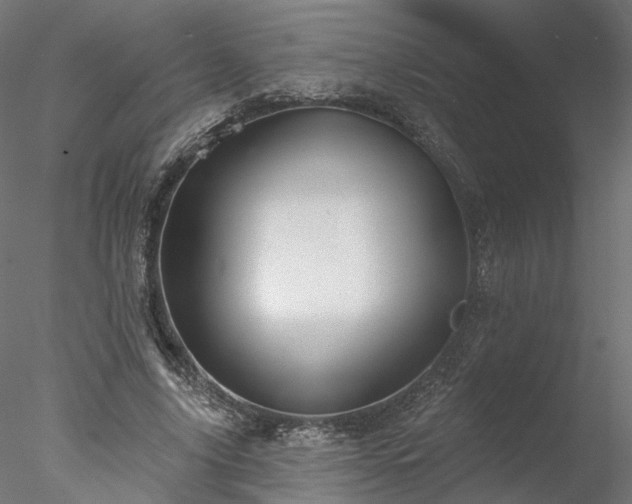 X0000078010635200611031431