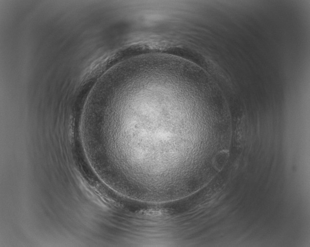 X0000078010639200611031431