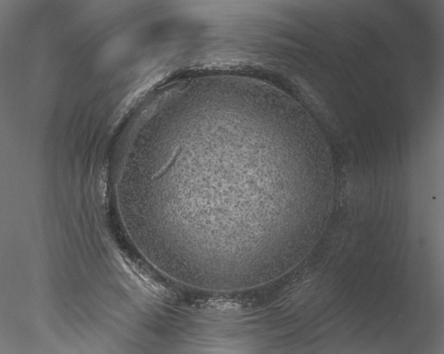 X0000078010640200611031431