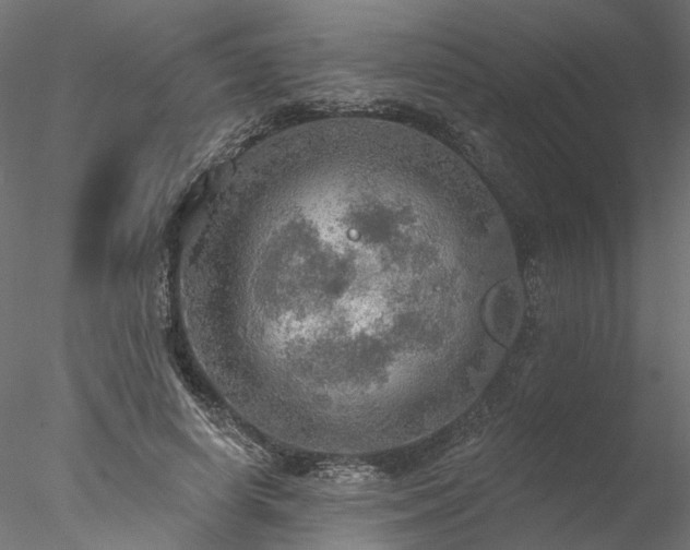 X0000078010642200611031431