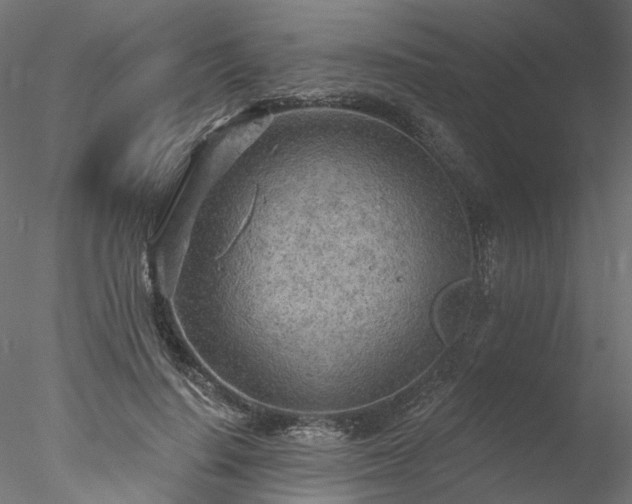 X0000078010644200611031431