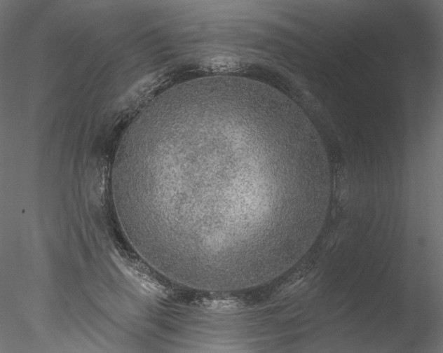 X0000078010645200611031431