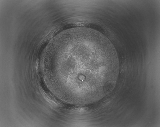 X0000078010646200611031431