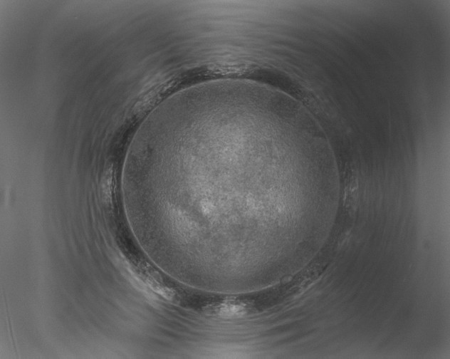 X0000078010647200611031431