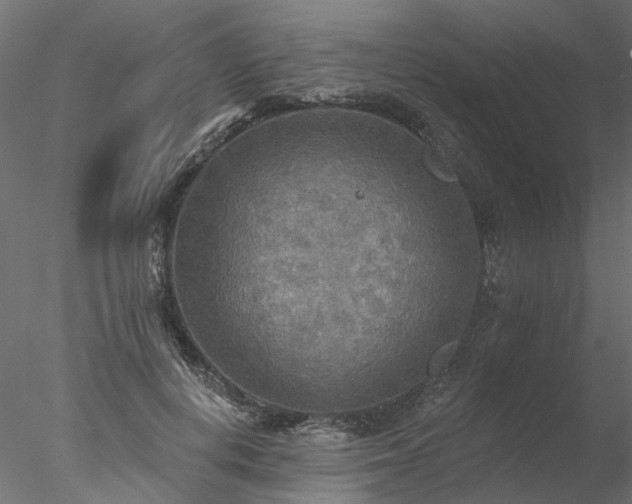 X0000078010648200611031431