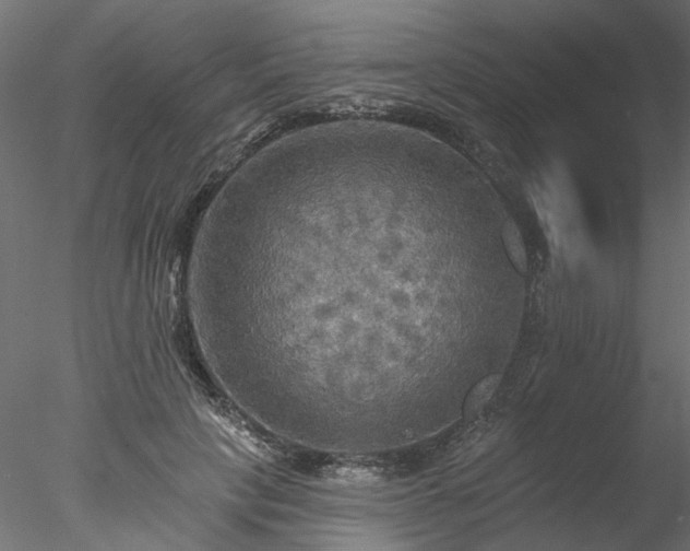 X0000078010649200611031431