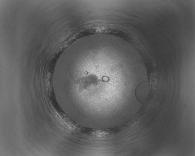 X0000078010650200611031431