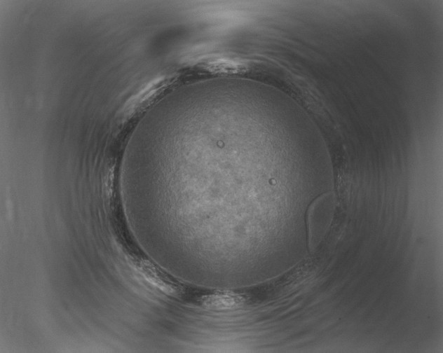 X0000078010652200611031431