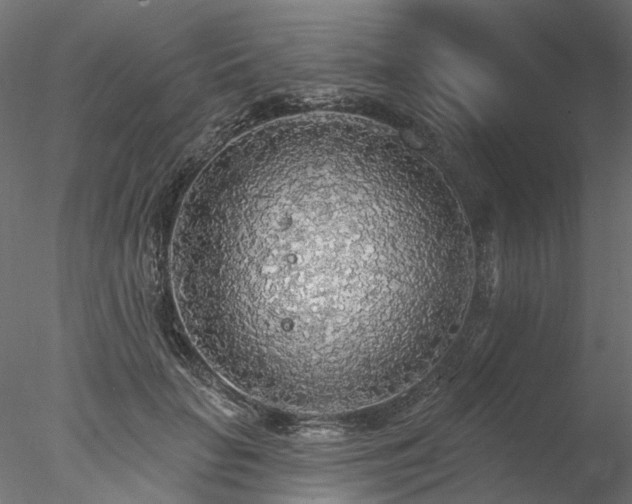 X0000078010653200611031431