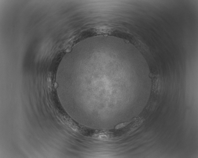 X0000078010655200611031431