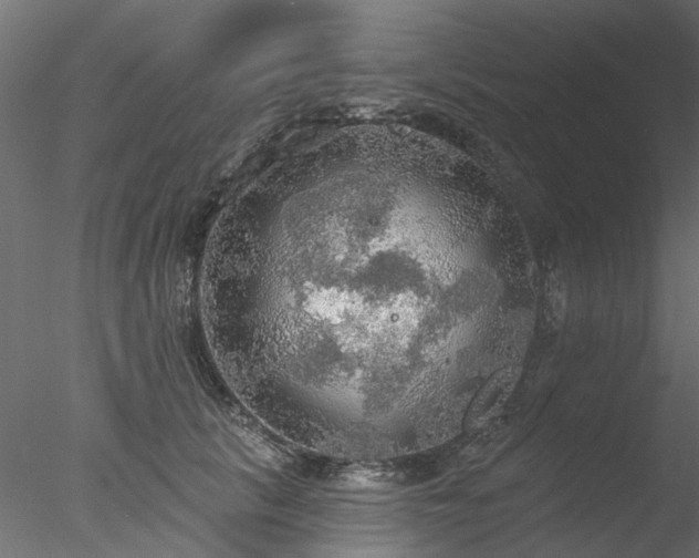 X0000078010657200611031431