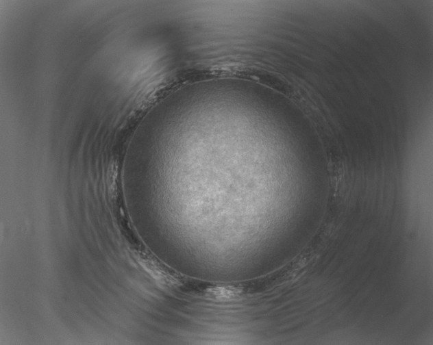 X0000078010660200611031431