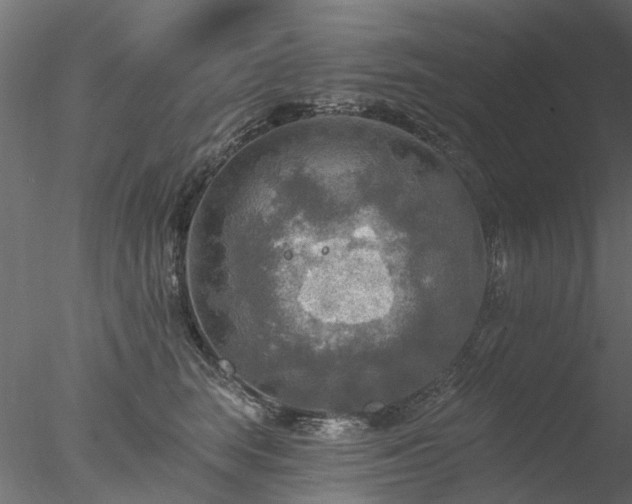 X0000078010663200611031431