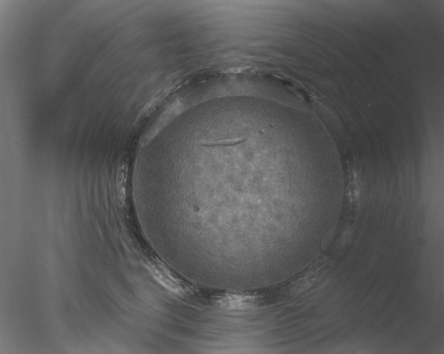 X0000078010664200611031431