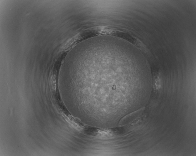 X0000078010666200611031432