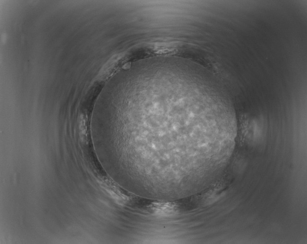 X0000078010667200611031432