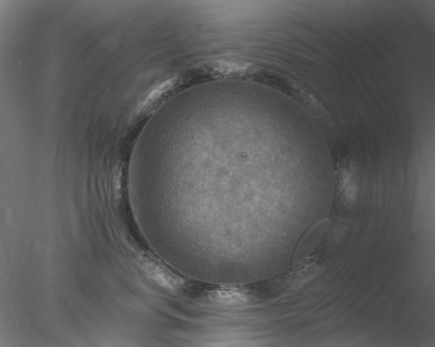 X0000078010668200611031432