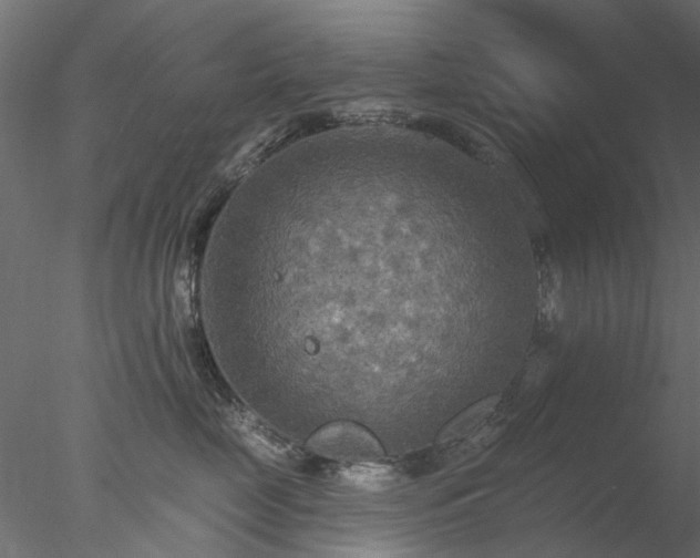 X0000078010669200611031432