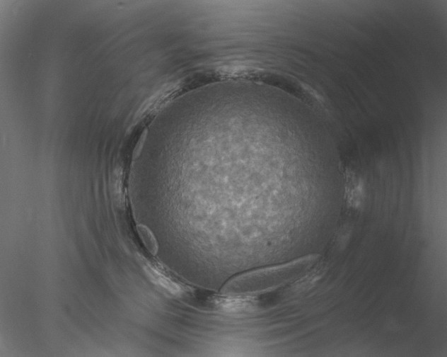 X0000078010670200611031432