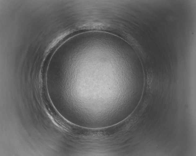 X0000078010674200611031431