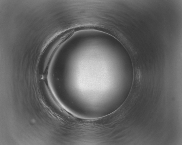 X0000078010676200611031431