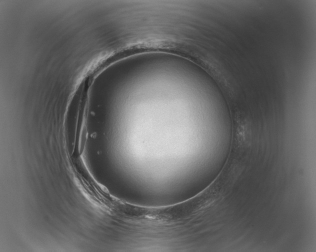 X0000078010678200611031431