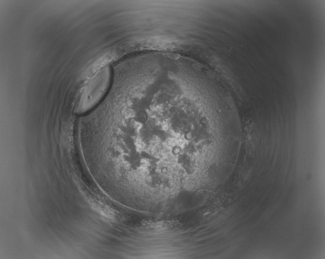 X0000078010679200611031431