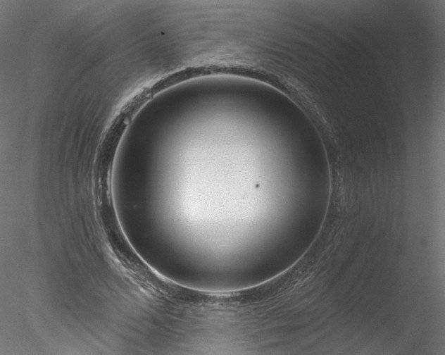 X0000078010680200611031431