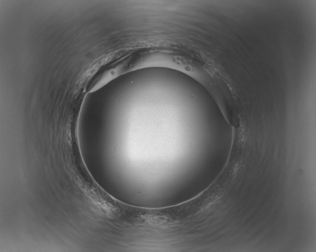 X0000078010681200611031431