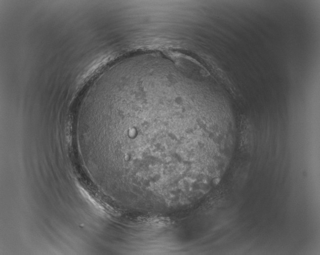 X0000078010683200611031431