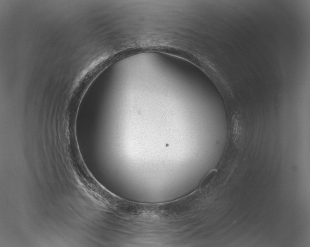 X0000078010684200611031431