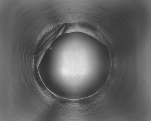 X0000078010685200611031431