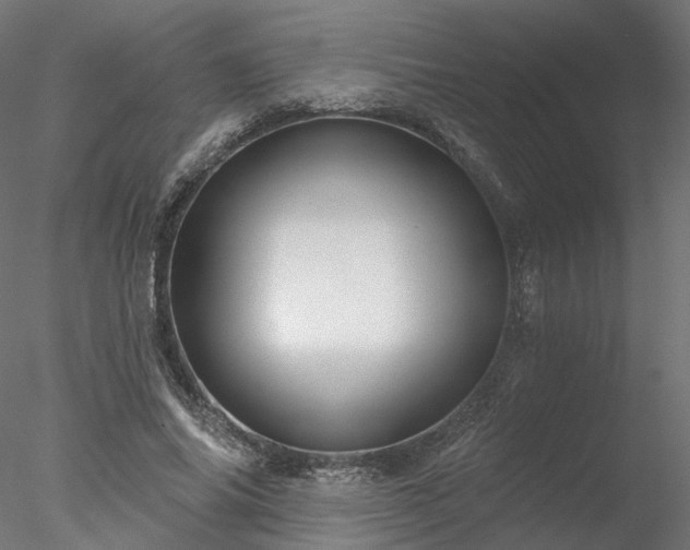 X0000078010686200611031431