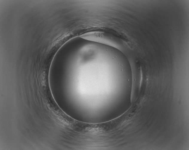 X0000078010689200611031431