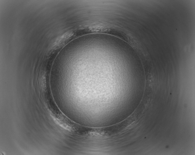 X0000078010690200611031431