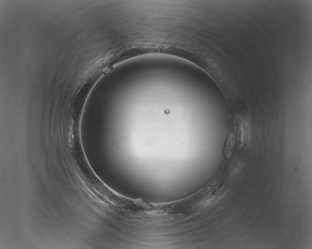 X0000078010692200611031430