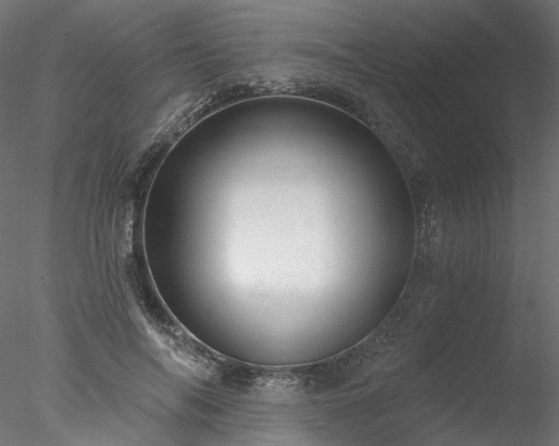 X0000078010694200611031430