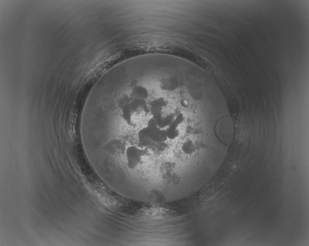 X0000078010695200611031430