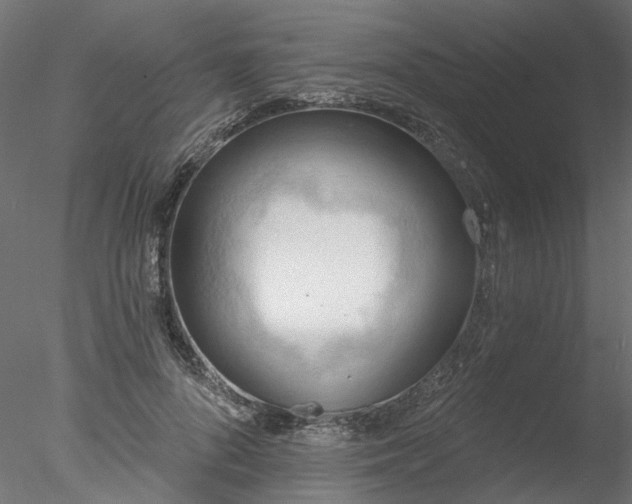 X0000078010696200611031430