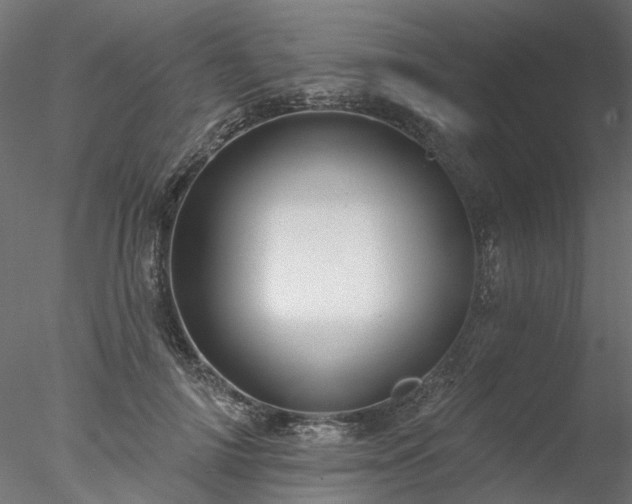 X0000078010698200611031430