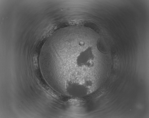 X0000078010699200611031430