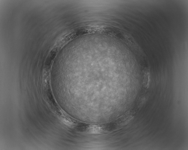 X0000078010701200611031430